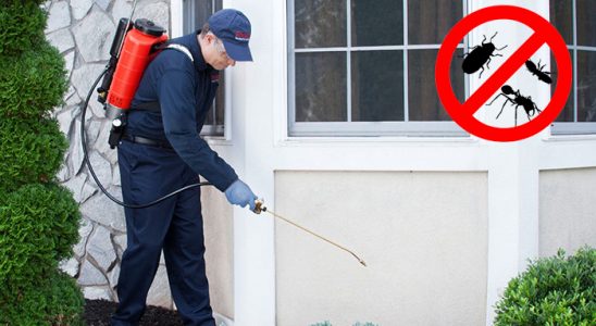 Zeytinburnu Sivrisinek İlaçlama böcek ilaçlama ve haşere kontrolü — ilaclama-tr.com